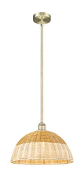 Edison Mini Pendant Cast Brass 15.75