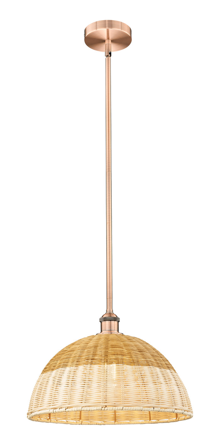 Edison Mini Pendant Cast Brass 15.75
