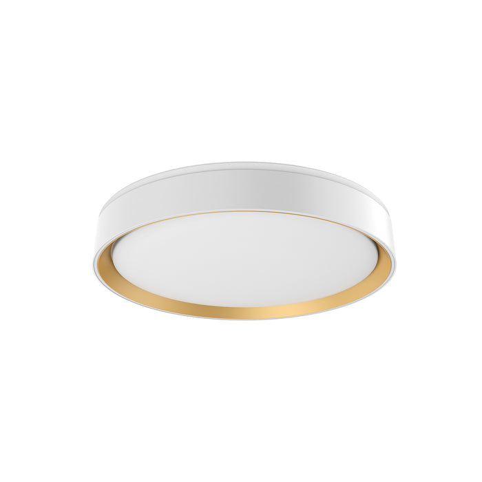 White/Gold