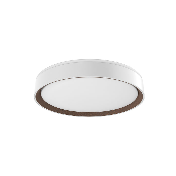 White/Walnut