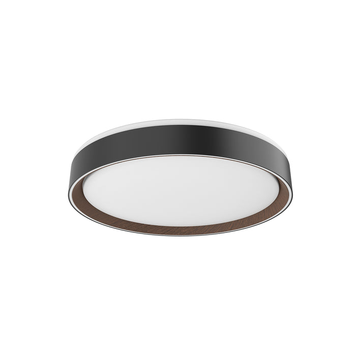 Essex 16-in Steel Flush Mount