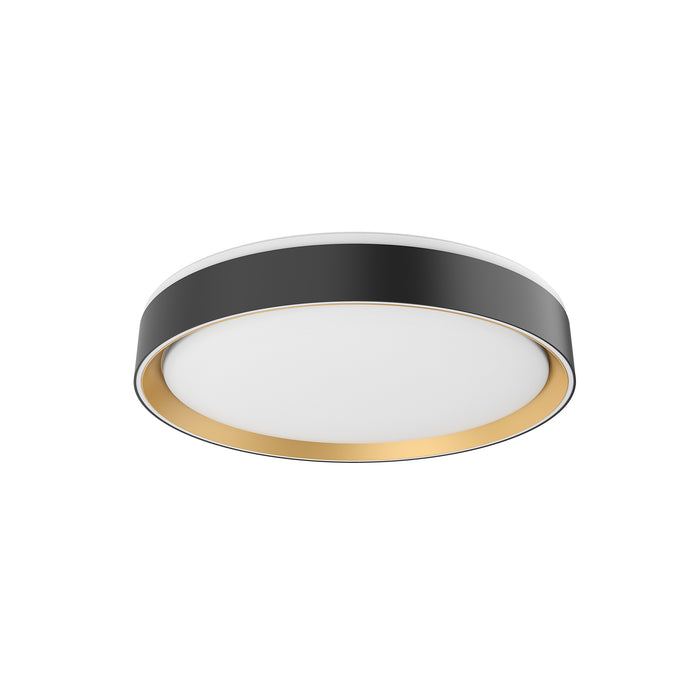 Black/Gold
