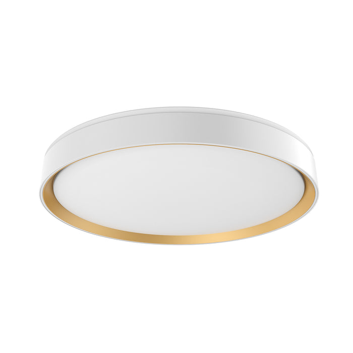 White/Gold