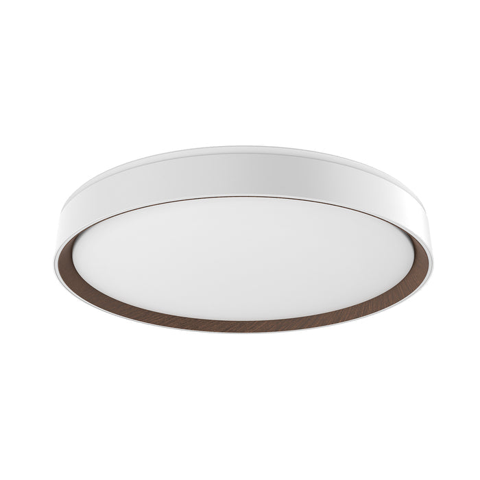 Essex 20-in Steel Flush Mount