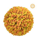 Eucalyptus topiary ball uv rated