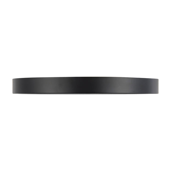 Evelyn 9-in Steel Flush Mount