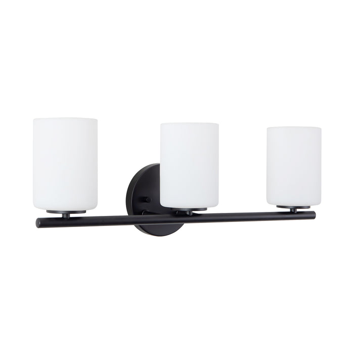 Ezra 22-in Steel Vanity Light
