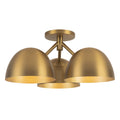 Brushed Gold