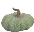 Green 5" Flat Pumpkin