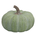 Green 7" Flat Pumpkin