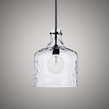 1 Lights Hazel 12-in Pendant Matte Black  Dimmable 60W