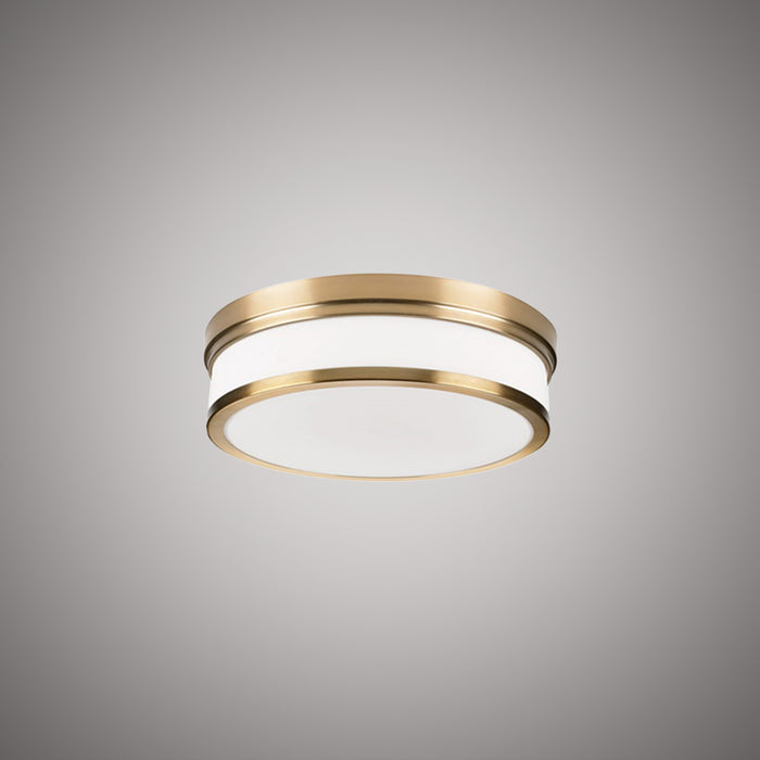 Led 10-in  Aged Brass  Dimmable 22W