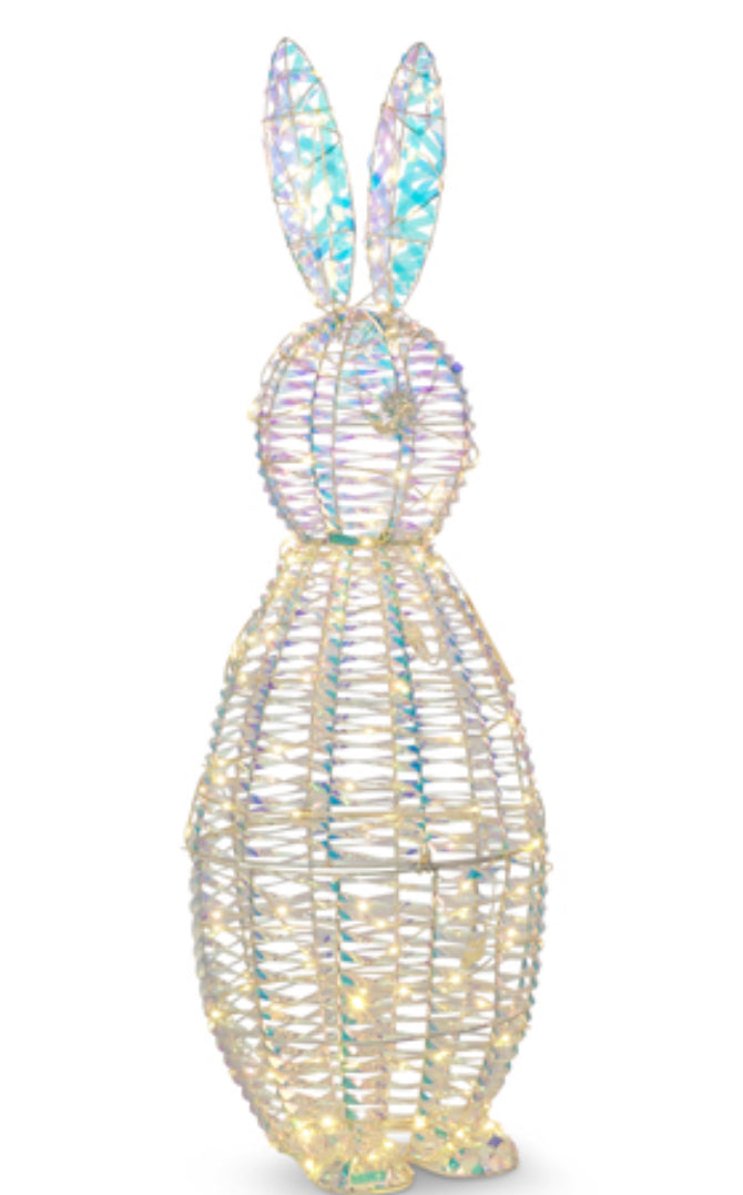 Lighted bunny