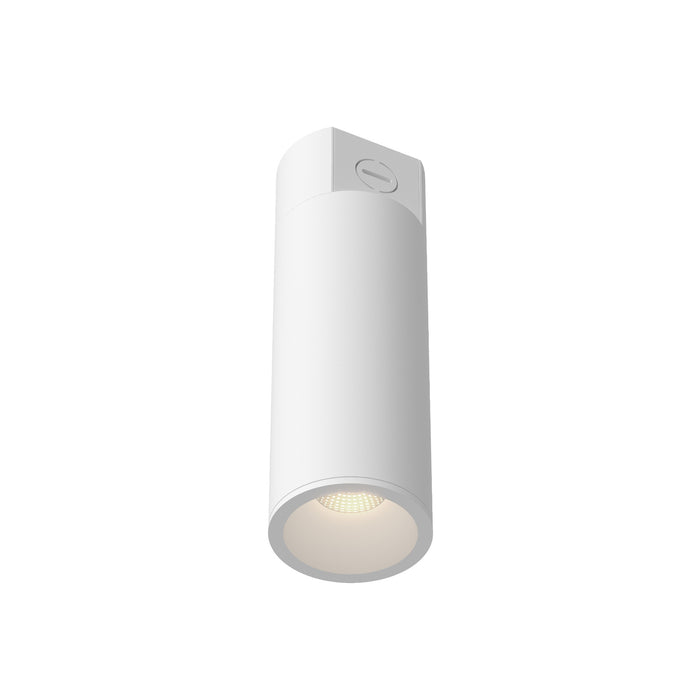 Lorna 10-in (3-in Dia.) Aluminum Flush Mount