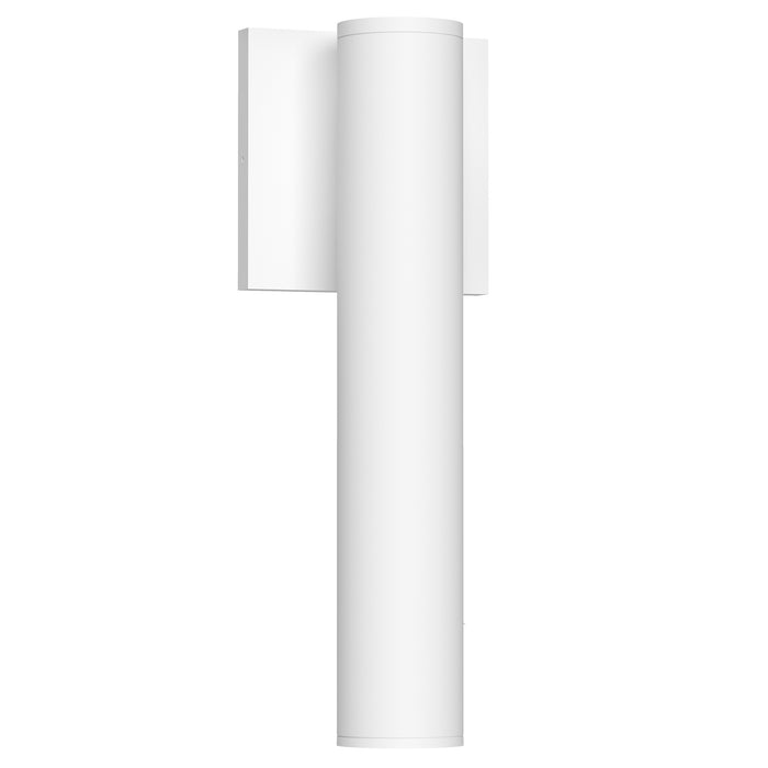 Lorna 12-in (2-in Dia.) Aluminum Outdoor Wall Sconce