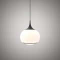 1 Lights Maggie 10-in Pendant Matte Black  Dimmable 60W