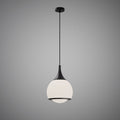 1 Lights Maggie 14-in Pendant Matte Black  Dimmable 60W