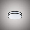 Metro 10-in  Matte Black  Dimmable 10W
