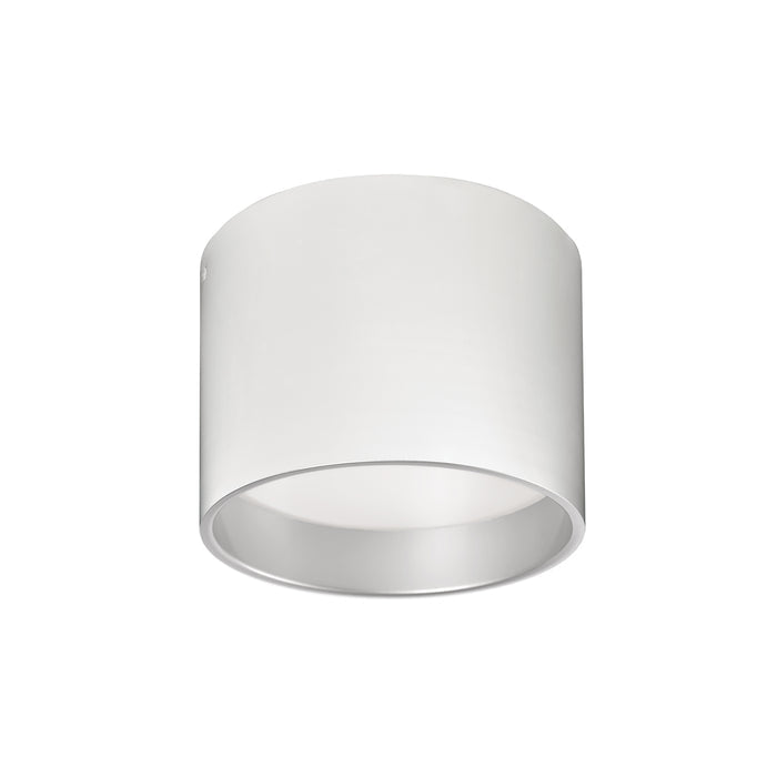 Mousinni 10-in Steel Flush Mount
