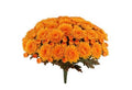 MUM BUSH W/33 BLOOMS & 66 BUDS, UV PROOF, 14.17"