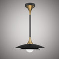 1 Lights New Port 17-in Pendant  Matte Black/Aged Brass  Dimmable 60W