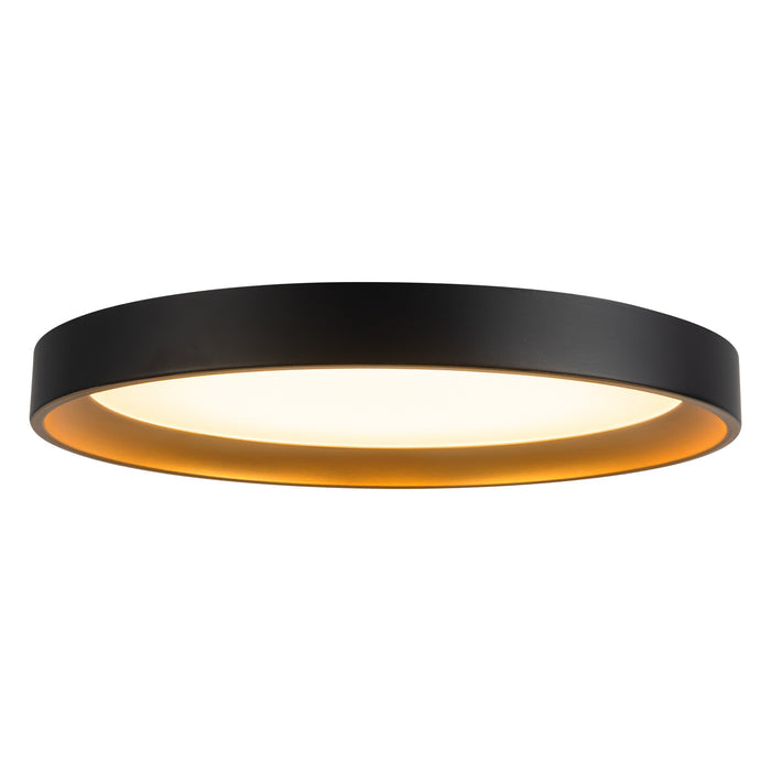 Black/Gold