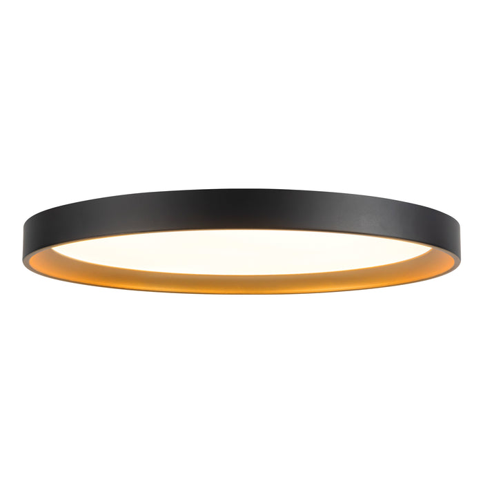 Black/Gold