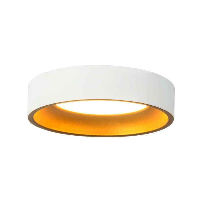 White/Gold