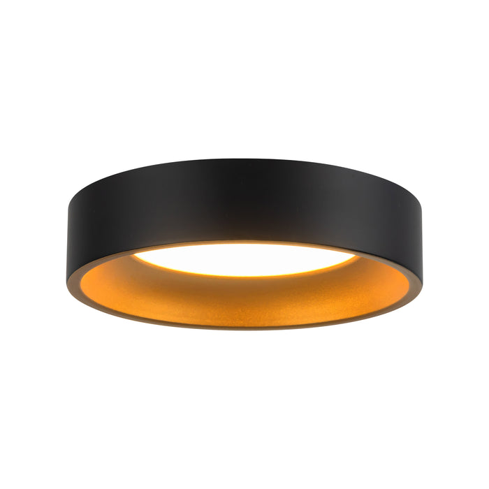 Black/Gold