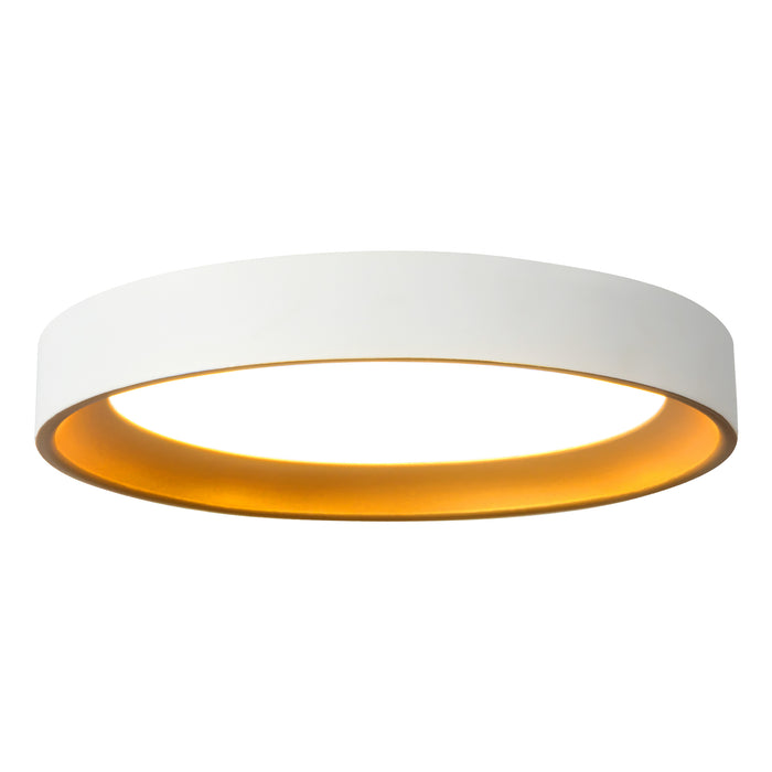 White/Gold