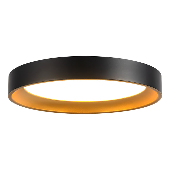 Black/Gold