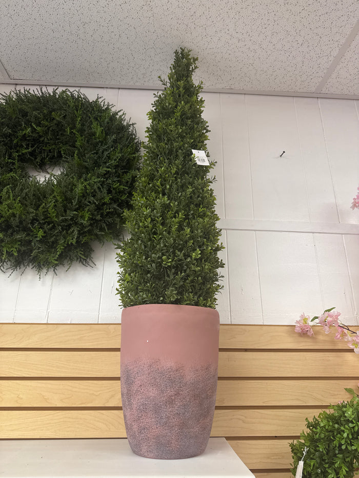 PL.SPRING BOXWOOD UV TREAT CONE in terrecotta pot