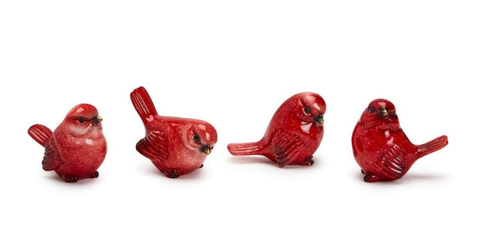 Red Cardinal