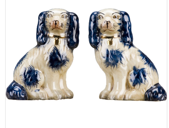 Staffordshire small dog