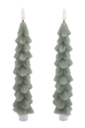 Tree taper Candle