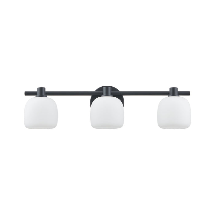 Valentina 24-inch 3-light Matte Black Vanity Light with Etched Opal Glass Shades