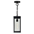 Windsor Outdoor Hanging Lights Black 1 Light