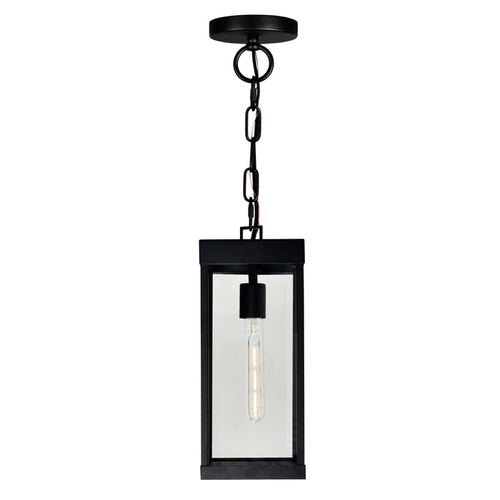 Windsor Outdoor Hanging Lights Black 1 Light