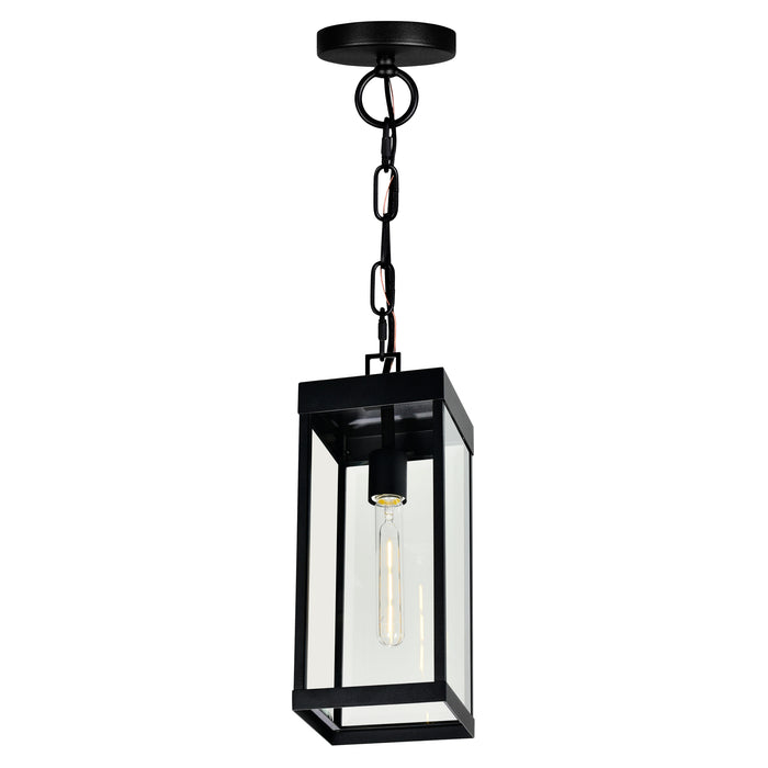 Windsor Outdoor Hanging Lights Black 1 Light