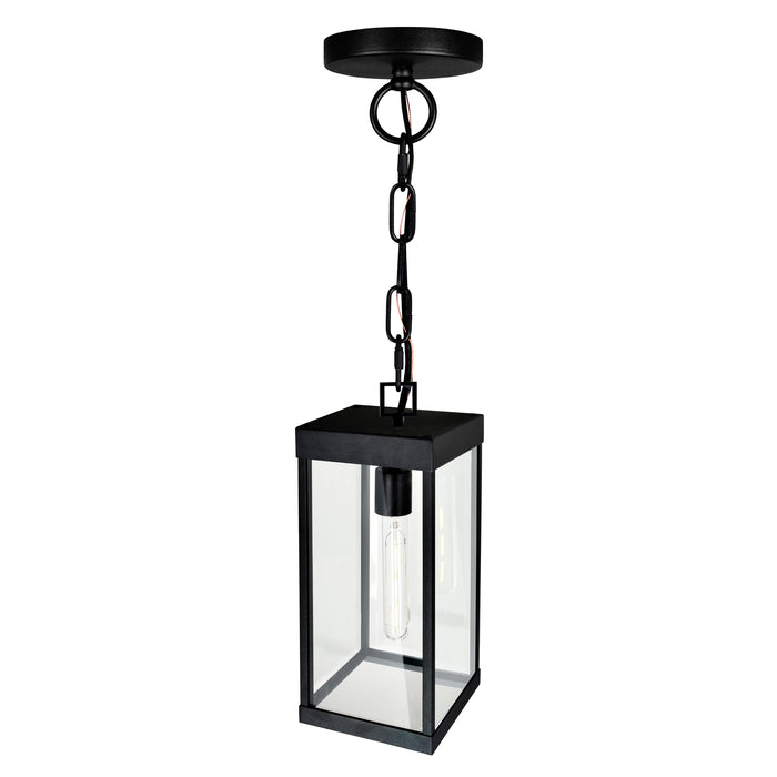 Windsor Outdoor Hanging Lights Black 1 Light